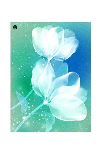 Generic Printed Metallic Plate White/Blue/Green 20x15cm