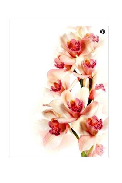 Generic Floral Themed Metallic Plate White/Beige/Pink 20x15cm