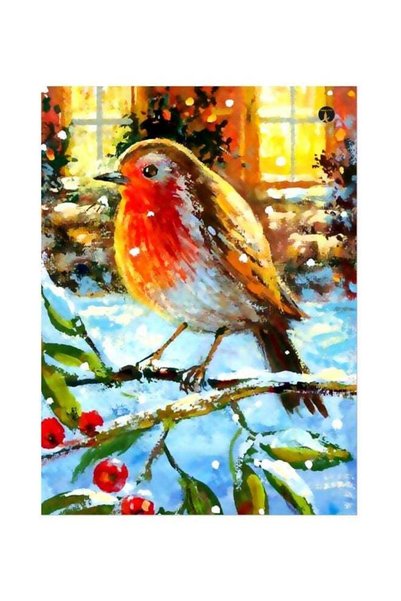 Generic Bird Themed Metallic Plate Orange/Blue/Yellow 20x15cm