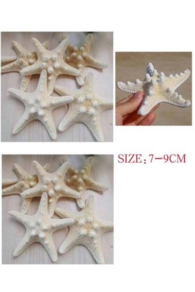 Generic 10 PCS Natural Starfish for Crafts Shell Conch Wall Landscaping Decor...