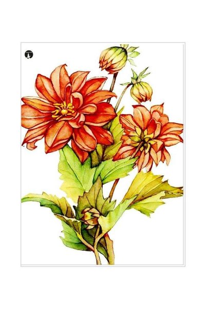 Generic Floral Printed Decorative Plate White/Orange/Green 20x15cm