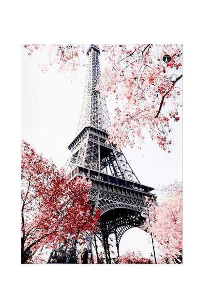 Generic Eiffel Tower Themed Metallic Plate White/Grey/Red 20x15cm