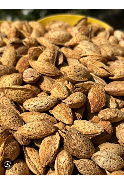 ADKTROPİKAL 1 KG İNCE KABUK BADEM