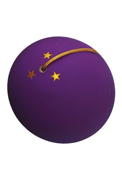 BV Professional Kendama, Wooden Ball + Phone Sticker, 124KD