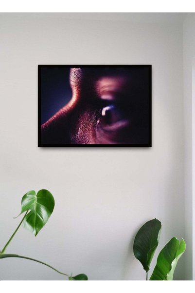 Generic Wall Posters with Watchful Eyes Picture and Black Frame - Wall Arts H...