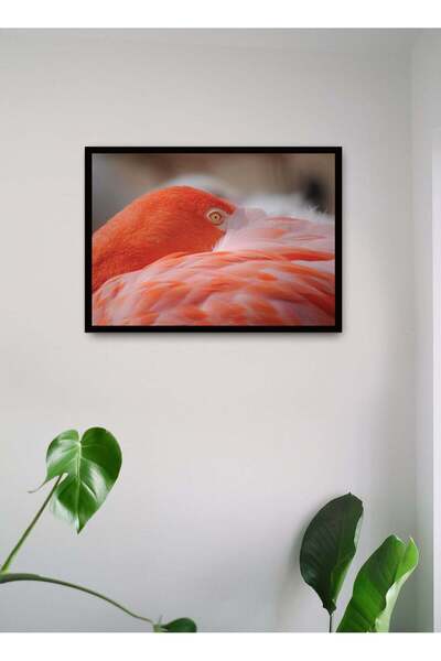 Generic Wall Posters with Flamingo in the Wild Picture and Black Frame - Wall...