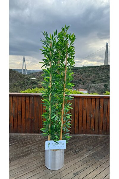 ADASYA ÇİÇEK Yapay Bambu Ağacı 180 Cm Gümüş Metal Saksı