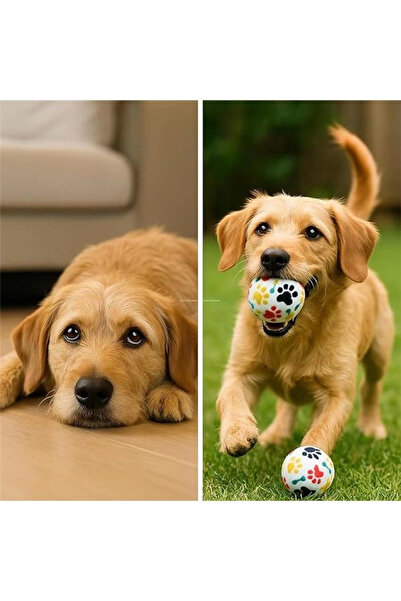 AyrStore 3’lü Köpek Oyuncak Top Seti, Yumuşak Kauçuk Tenis Topu, Küçük ve Orta Irk Köpekler İçin