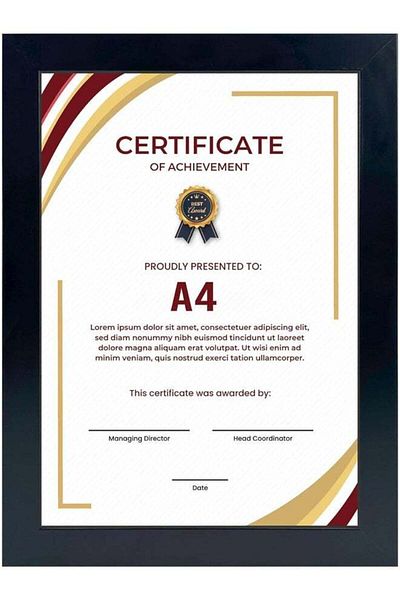 Generic Decorhills Decorhills A4 Certificate Frame & Document Frame