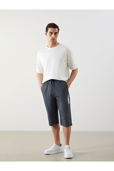 LC Waikiki Navy Blue Standard Fit Men's Shorts