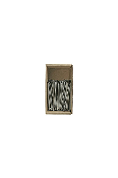 Strend Pro Καρφιά 50 x 2,5 mm, (1 kg)