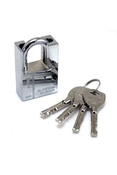 blossom Professional Padlock 60 mm, 4 keys,