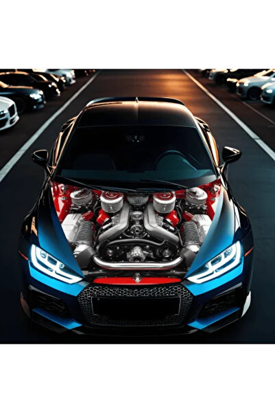 Avex Folie Capota Auto "Hood Art" rezistenta la exterior, marime S (150 x 110...