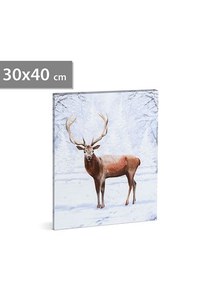 Mercaton LED picture with reindeer 2 AA batteries, 30 x 40 cm (58475)