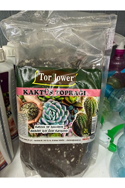 Torflower Kaktüs Skulent Toprağı(Torf)