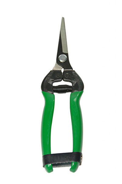 ForWhat Citrus Picking Shears with 19cm Straight Blade for Garden Maintenance