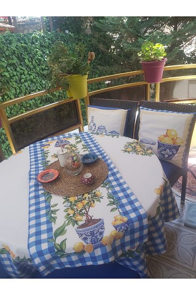 KEDİ Lemon Runner