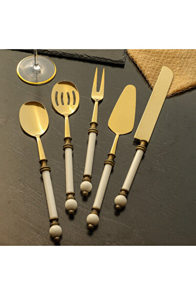 ROY KING KNOB 5 PRÇ.SERVİS SETİ ANTİK TİTANYUM