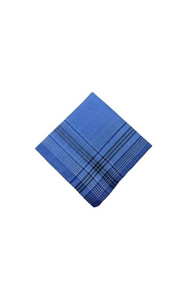 E EFRALL Set 12 Cotton Handkerchiefs for Men, 40 x 40 cm Blue - Concept E Efrall