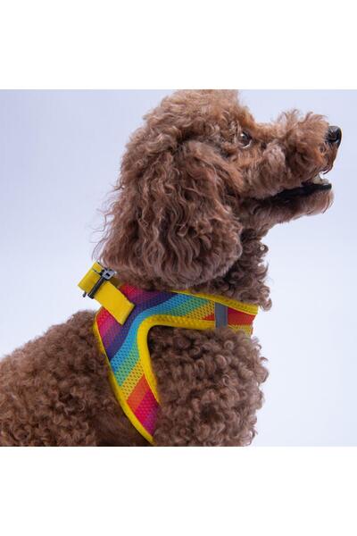 Pawstar Rainbow Air-Mesh Chest Harness Cat Dog Chest Harness Rainbow Pattern Dog Harness