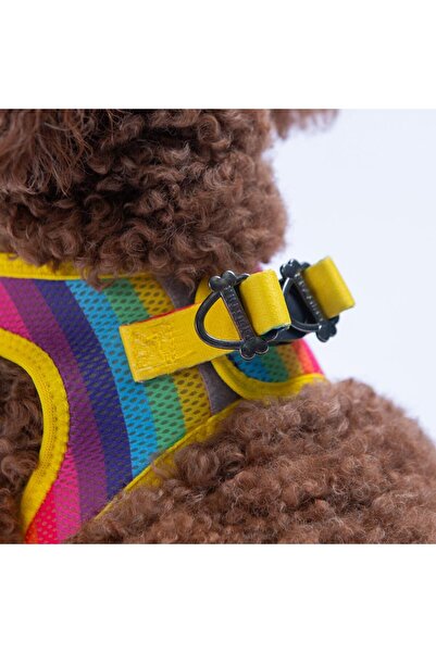 Pawstar Rainbow Air-Mesh Chest Harness Cat Dog Chest Harness Rainbow Pattern Dog Harness