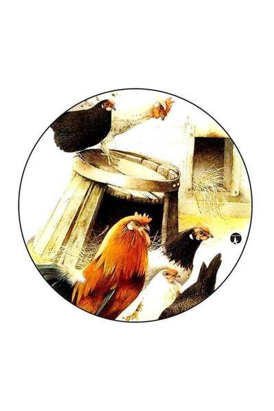 Generic Chicken Farm Printed Fridge Magnet Multicolour 5.5 x 5.5cm
