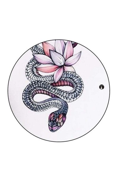 Generic Snake Printed Fridge Magnet Multicolour 5.5 x 5.5cm