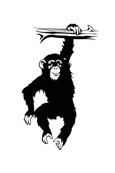 Generic Monkey Hanging Bookshelf Decorative Wall Sticker Black 50x80cm