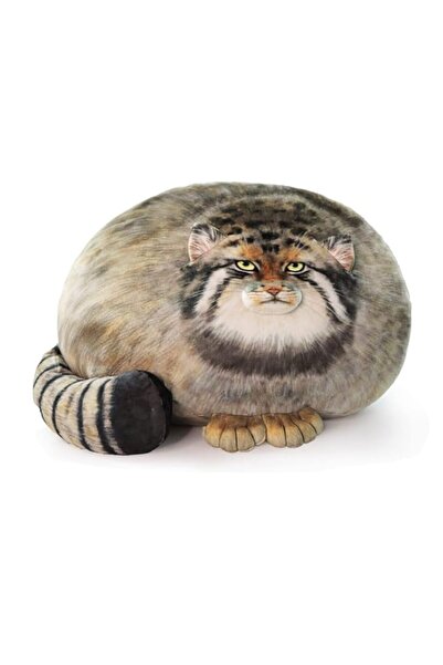 Generic وسادة جسم قطة محشوة، 45 سم/18 بوصة، حيوان قطة بالاس المحشو، قطط ستيب ...