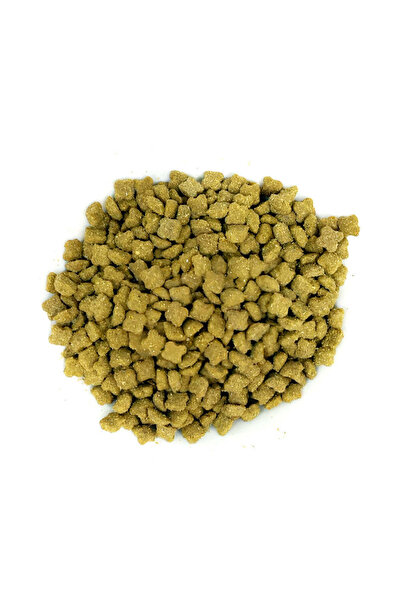 Cat Flock Pet Complete Dry Food for Kittens and Adult Cats 1 kg