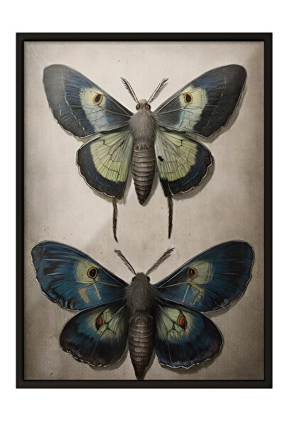 Zestia Tablou cu ramă neagră, Fluture Vintage, Poster decorativ pentru dormit...