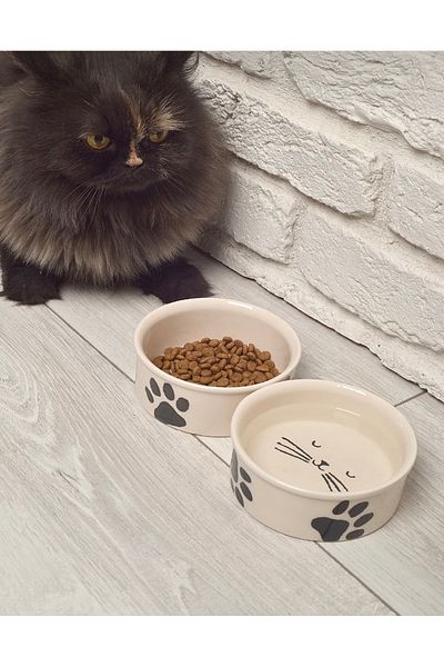 SAMESA HEDİYELİK Food Bowl Cat Food Bowl Dog Mana Bowl Set of Two