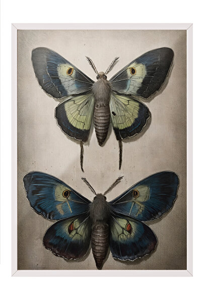 Zestia Tablou cu ramă albă, Fluture Vintage, Poster decorativ pentru dormitor...