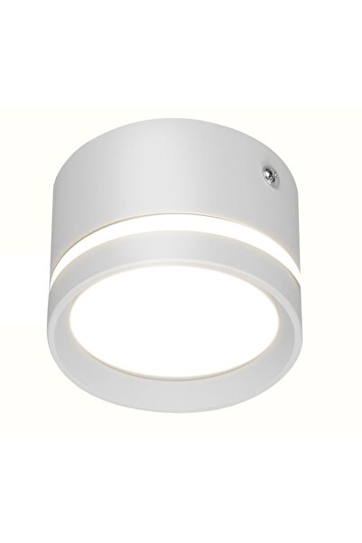 TECHSTAR Lampă de tavan LED ® 10W, Alb, 6500K, Corp din aluminiu, Design cili...