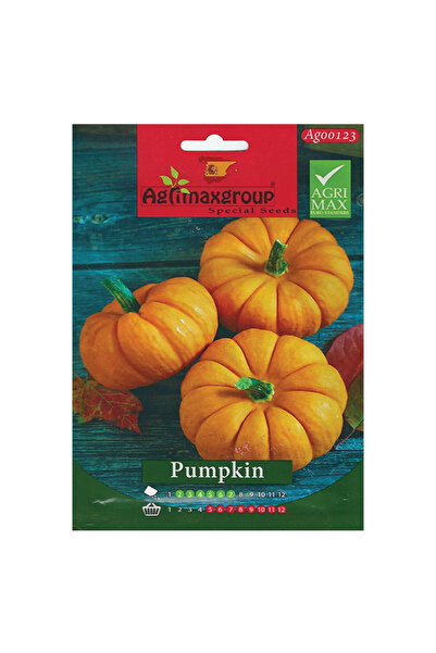 agrimax بذور اليقطين عالية الجودة (صنع في إسبانيا)