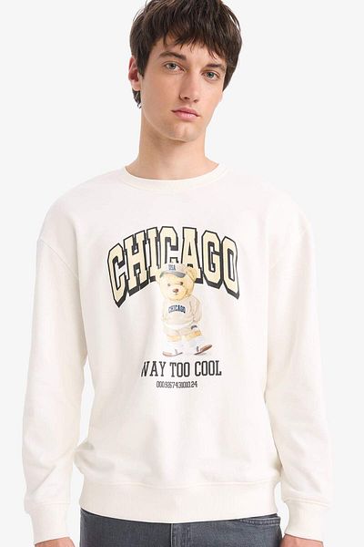DeFacto Boxy Fit Crew Neck Printed Sweatshirt E6430Ax25Au
