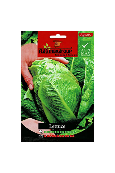 agrimax بذور الخس عالية الجودة (صنع في إسبانيا)