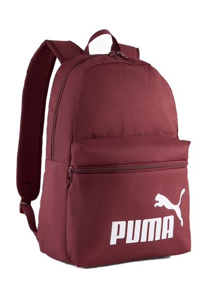 Puma Phase Backpack Suitable for Daily Use Backpack and School Bag Colorful