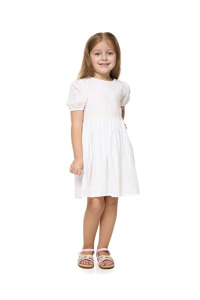 R&B Embroidered Fit and Flare Dress with Crew Neck and Puff Sleeves