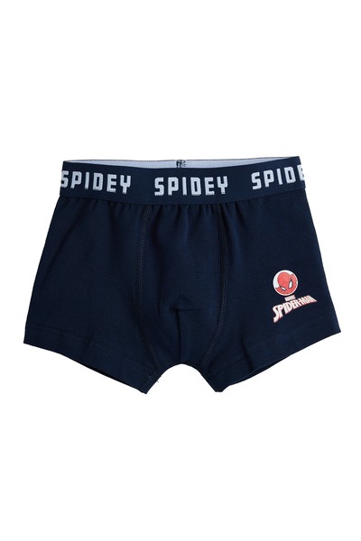 R&B 3 Pack Spider-Man Print Boxer Briefs