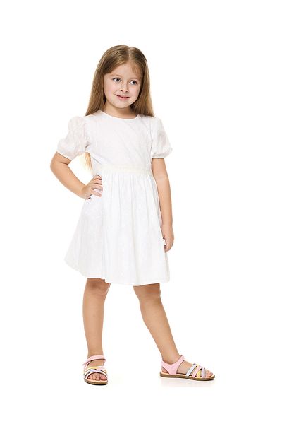 R&B Embroidered Fit and Flare Dress with Crew Neck and Puff Sleeves