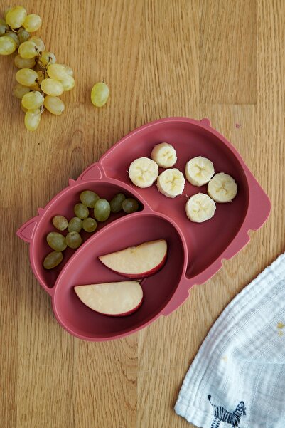 EVLE Silicone Food Plate with Baby Compartment, Platinum Silicone, 14 X 21 X 3 cm
