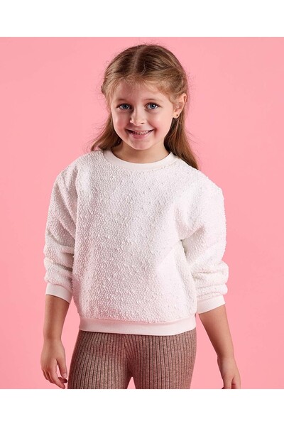 R&B سويت شيرت مطرز برقبة دائرية وأكمام طويلة