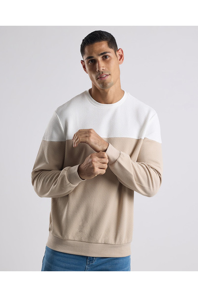 R&B Color Block Sweatshirt with Crew Neck and Long Sleeves