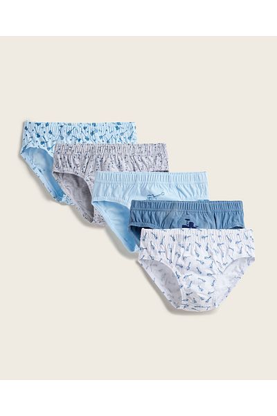 R&B Pack of 5 Printed Briefs