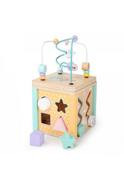 Mercaton Educational wooden cube with maze and sorter HM015472