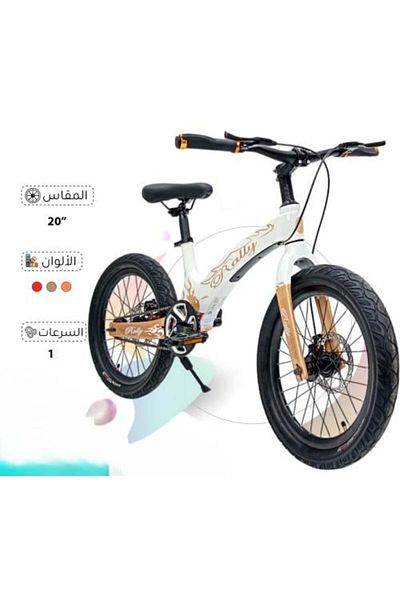 Rally Kids Bike 20 Inch Mountain Bike for 6-12 Years Boys and Girls