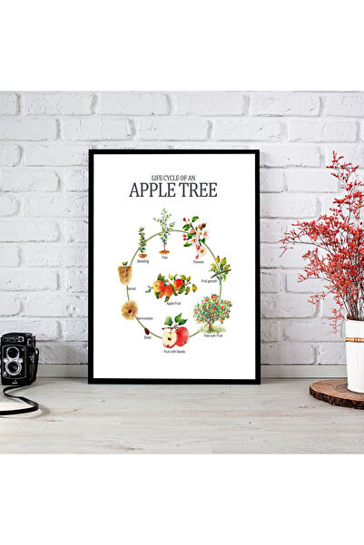 woodsia Еднокомпонентна дървена рамка за постер от МДФ CRMD TEK0289