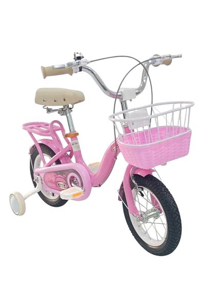 Toybox Kids 16 Inch Bike for Girls with Basket, Training Wheels and Rear Rack (Pink)