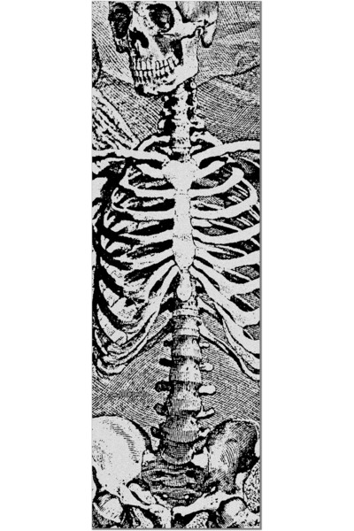 Powell Peralta Sas Skeleton Clear Kaykay Zımparası